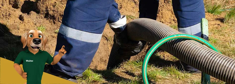 Sewer Line Repair & Installation